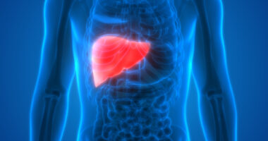 liver transplants