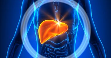 liver transplant outcomes