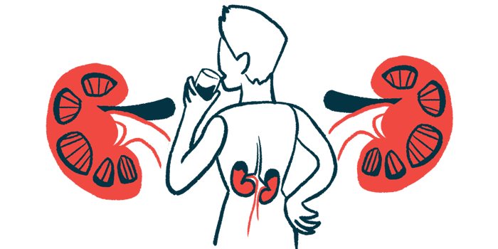 kidney damage | Porphyria News | Illustration of kidneys