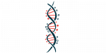 FECH gene mutation | Porphyria News | illustration of DNA