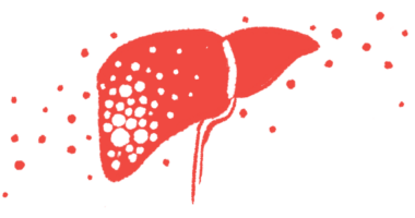 An illustration shows a side view of the human liver.
