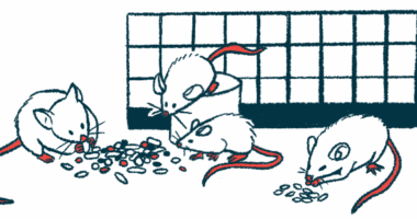 Four mice look over food sitting outside a cage.