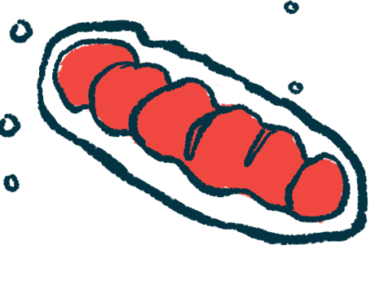 An illustration shows a close-up view of mitochondria, which produce energy in cells.