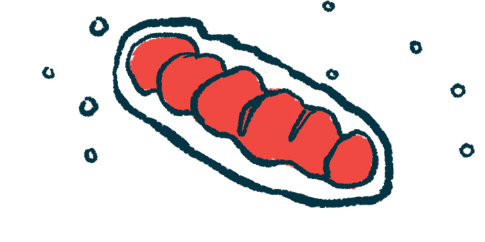 An illustration shows a close-up view of mitochondria, which produce energy in cells.