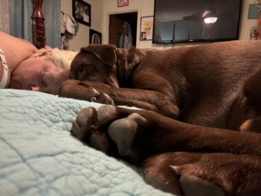 A middle-age woman and her chocolate lab sleep together atop a blue quilt on the woman's bed. The photo is taken from a low angle, as if the camera is resting on the bed. The woman is lying on her stomach, with her head turned toward the camera, and the top of her head is touching the top of her dog's head.