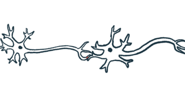 A synapse between nerve fibers is shown.