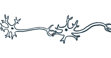 A synapse between nerve fibers is shown.