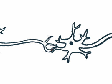 A synapse between nerve fibers is shown.