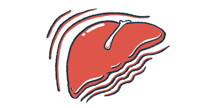 An illustration shows a close-up look at the human liver in profile.